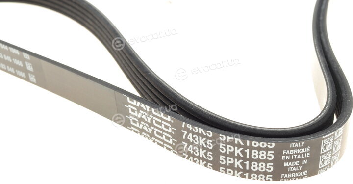 Dayco 5PK1885