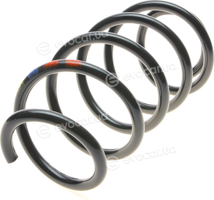 Borsehung B12623