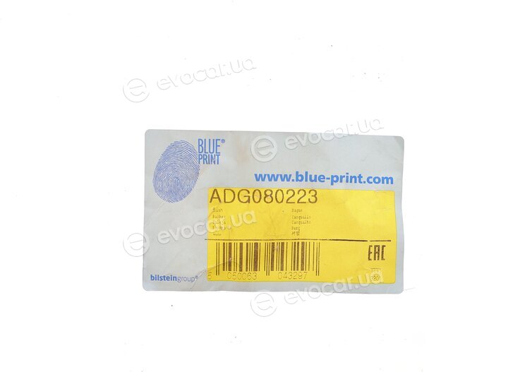Blue Print ADG080223