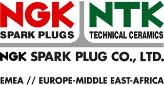 NGK / NTK R5672A-8