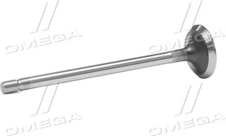 Gunes 3471