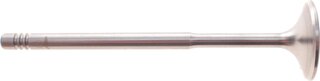 AMP PSKO017-S-0-N