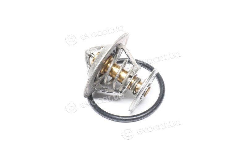 Wahler / BorgWarner 4264.84D