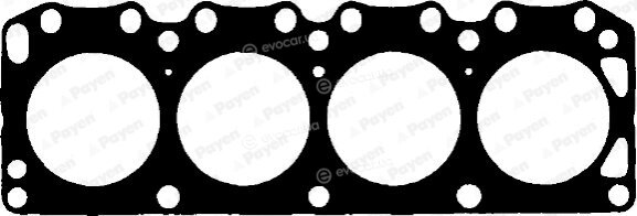 Payen BJ200