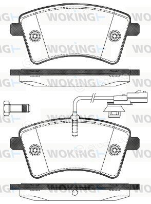 Woking P12513.01