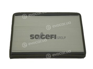 Coopers Fiaam PC8096