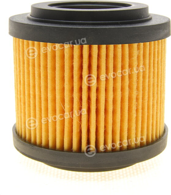 Borsehung B12219