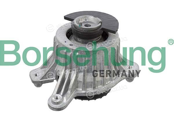 Borsehung B12648