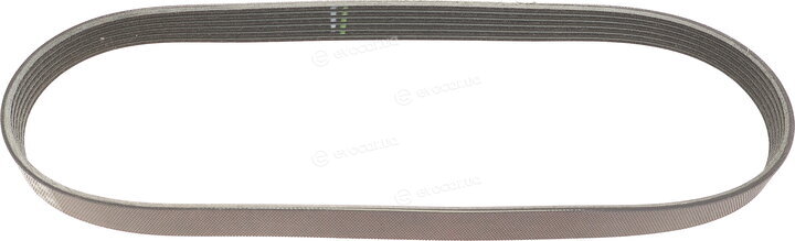 Gates 6PK803EST