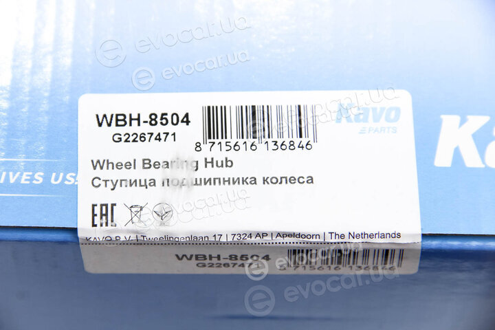 Kavo WBH-8504