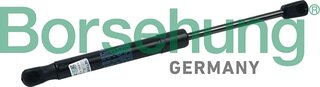 Borsehung B18437