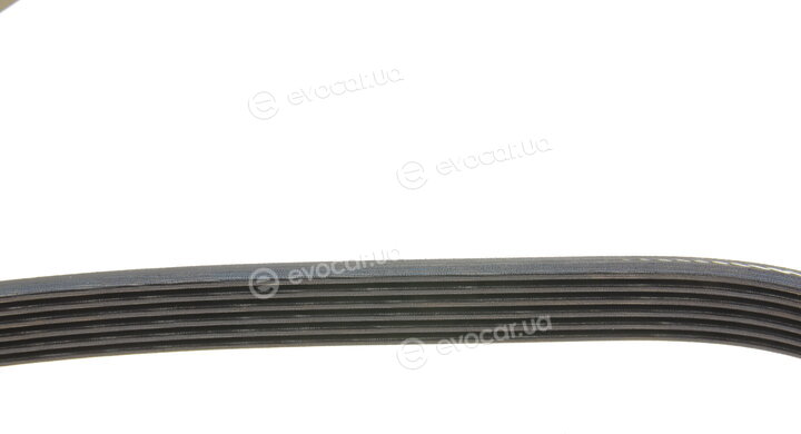 Dayco 6PK1264