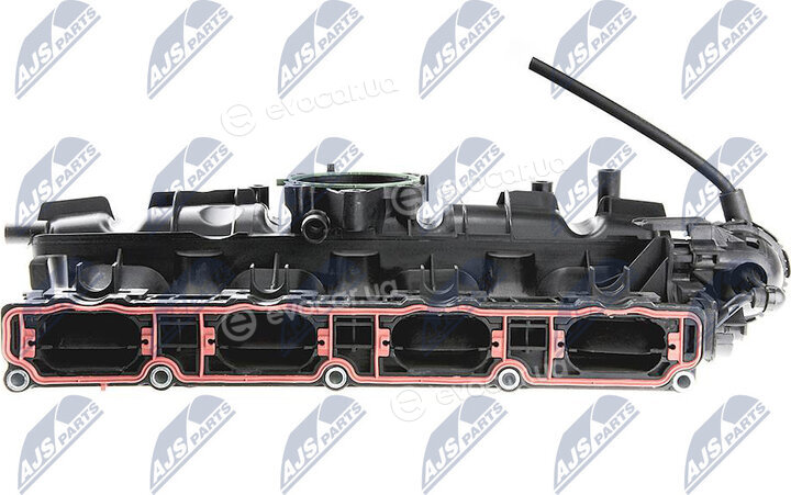 NTY BKS-AU-000