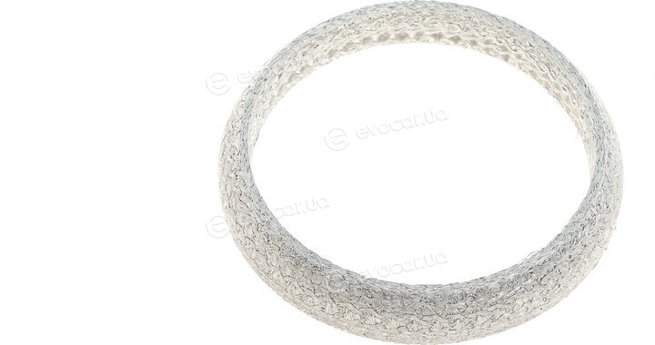 Elring 455.220