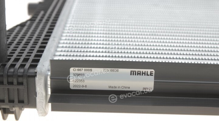 Mahle CI 667 000S