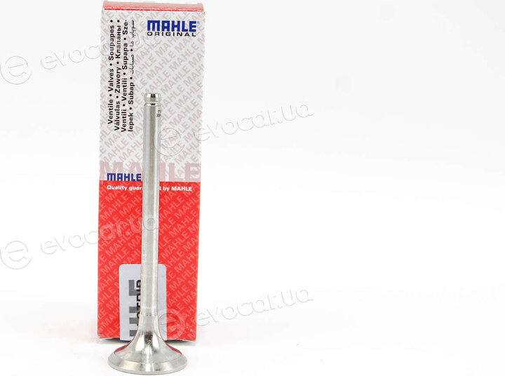 Mahle 021 VA 30847 100