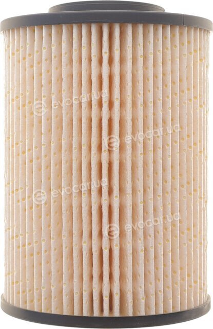 Solgy 102099