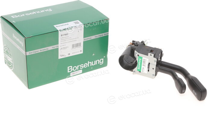 Borsehung B17953