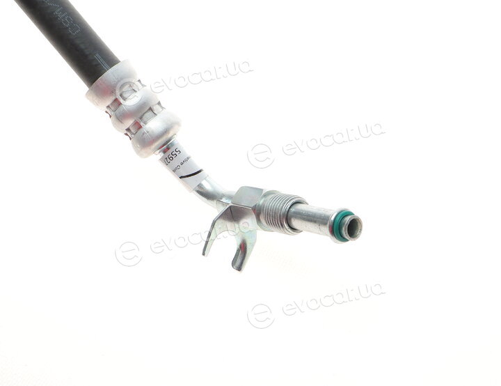 AIC 55927