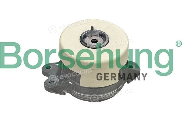 Borsehung B13041