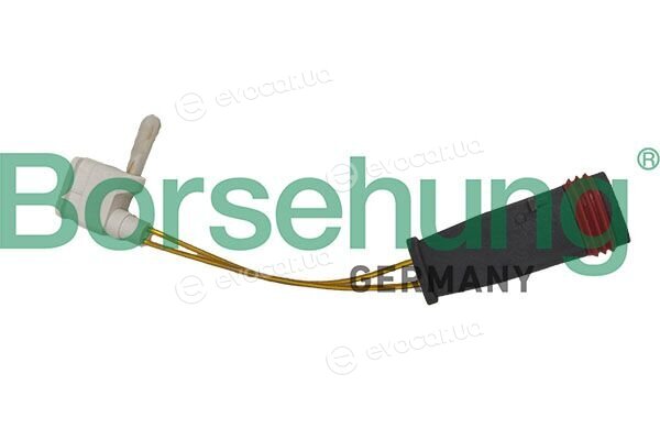 Borsehung B13238