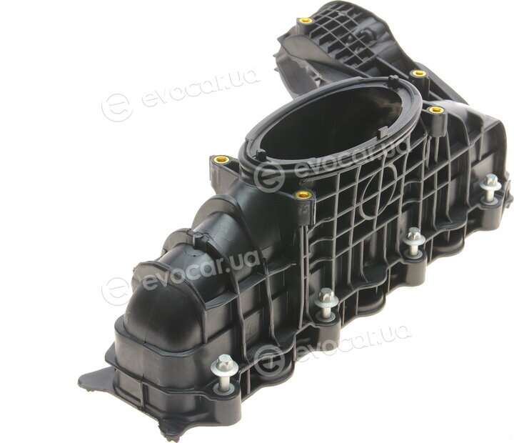 Solgy 114033