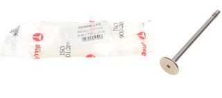 AMP PFOR060-A-0-N