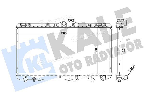 Kale 351885