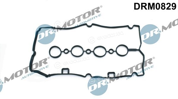 Dr. Motor DRM0829