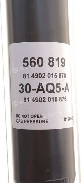 Sachs 560 819