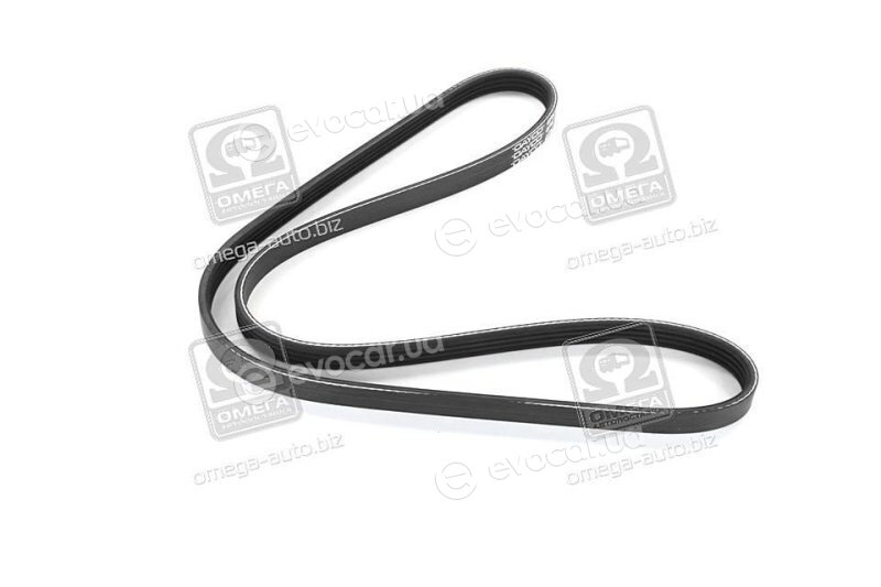 Dayco 4PK1100