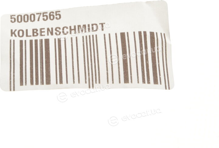 Kolbenschmidt 50007565