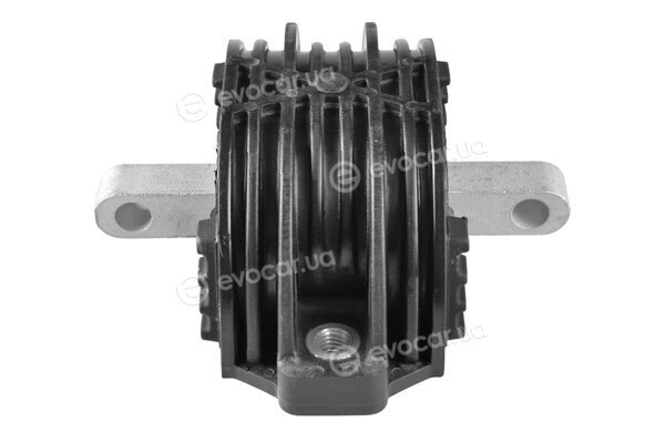 Tedgum TED56933