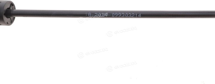 Solgy 117001