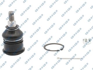 GSP S080481