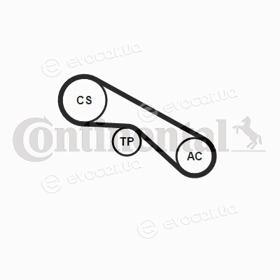 Continental 5PK875K1