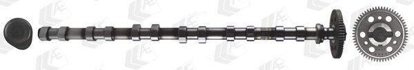 AE CAM1017