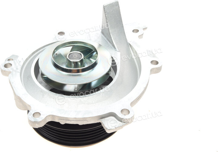 Hepu P1579