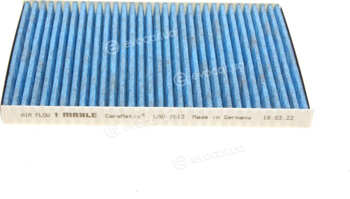 Mahle LAO 1613