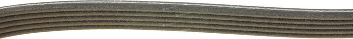 Dayco 5PK1650