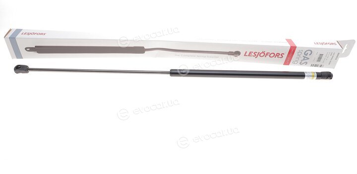 Lesjofors 8004214