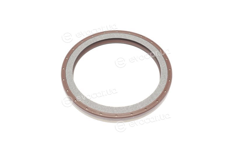 Elring 524.973