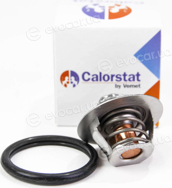 Vernet / Calorstat TH5977.88J