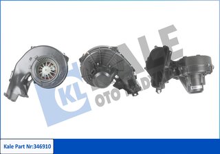 Kale 346910