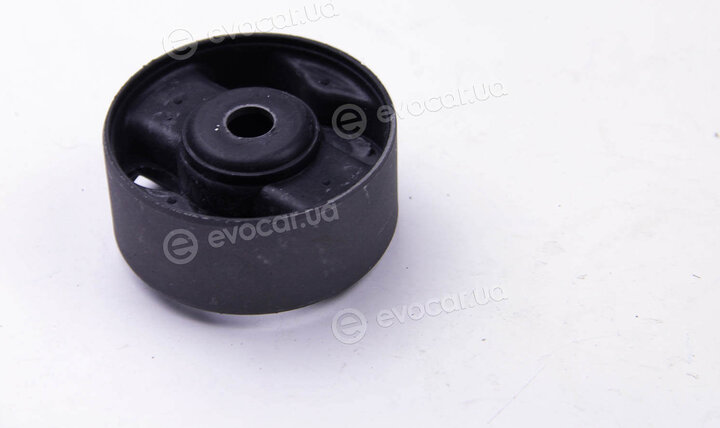 Metalcaucho / STC 05463