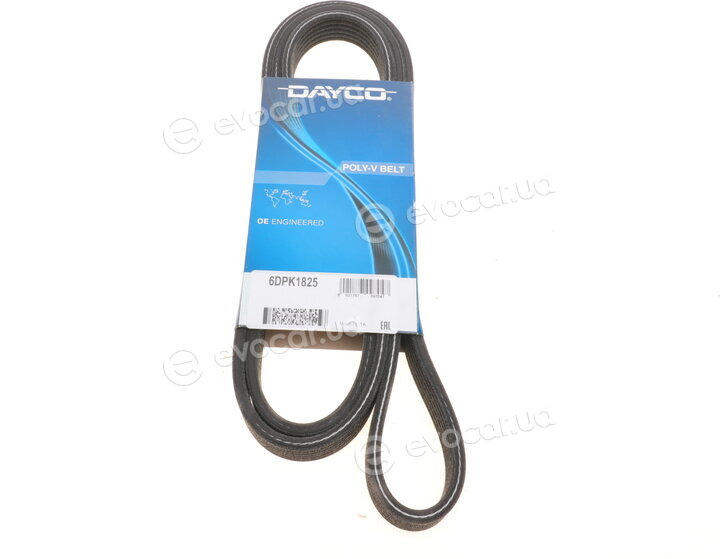 Dayco 6DPK1825