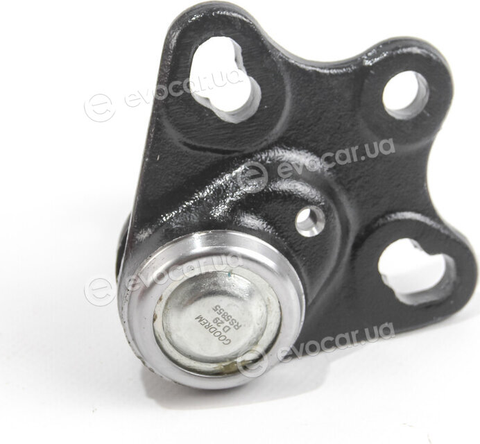 Goodrem RS5855