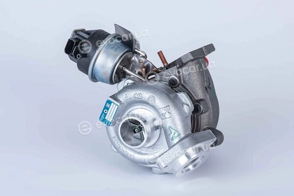 BorgWarner 53039880189