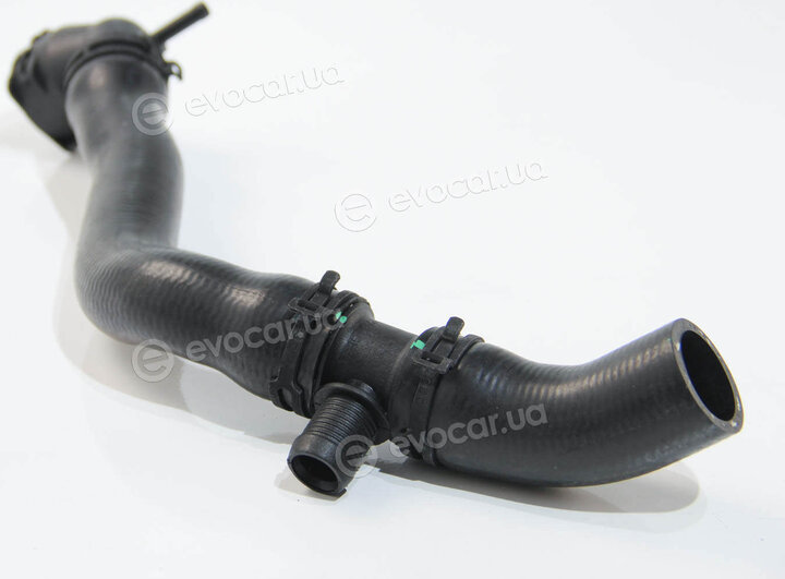 Rapro R25929
