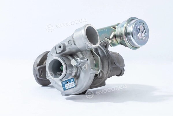 BorgWarner 53149907018